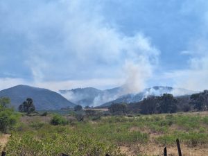 Incendió afecta comunidades del municipio de Jiquilpan, Michoacán