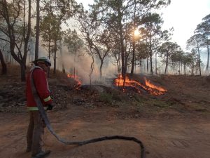 Bomberos combaten incendio en Mascota