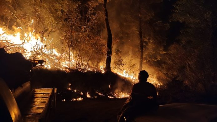 Bomberos combaten incendio en Mascota