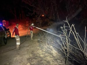 Bomberos combaten incendio en Mascota