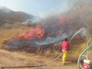 Bomberos combaten incendio en Mascota