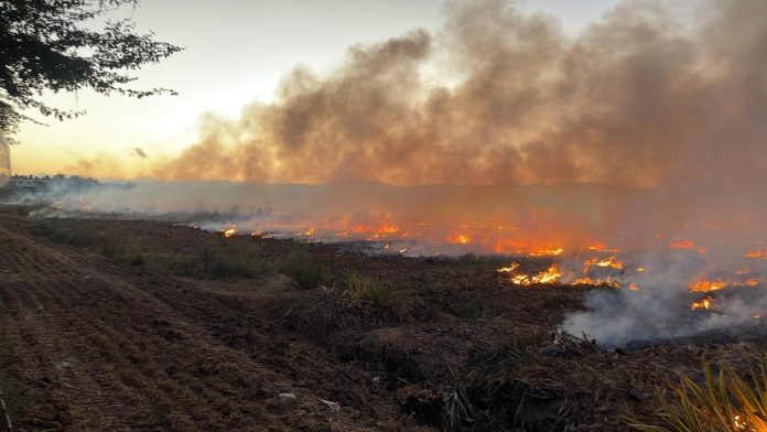 Protección Civil de Bahía de Banderas ofrece recomendaciones para prevenir incendios forestales en temporada de estiaje.