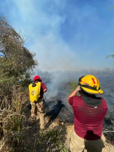Protección Civil de Bahía de Banderas ofrece recomendaciones para prevenir incendios forestales en temporada de estiaje.