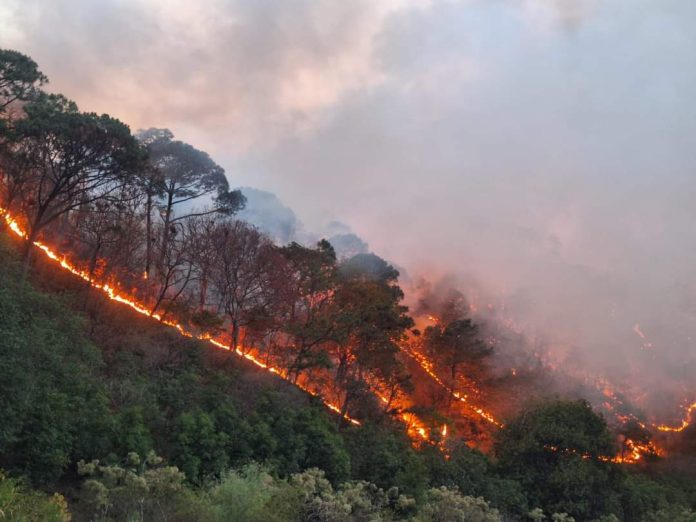 Incendio en la comunidad El Galope en el municipio de Mascota, cobró una vida, dejó dos heridas y devastó 860 hectáreas de serranía