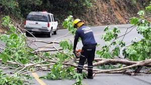 La conectividad carretera impulsa el turismo en Puerto Vallarta, atrayendo visitantes de Guadalajara y el Bajío