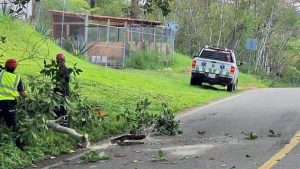 La conectividad carretera impulsa el turismo en Puerto Vallarta, atrayendo visitantes de Guadalajara y el Bajío