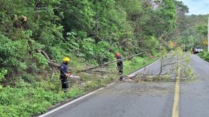 La conectividad carretera impulsa el turismo en Puerto Vallarta, atrayendo visitantes de Guadalajara y el Bajío