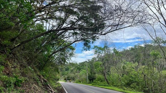 La conectividad carretera impulsa el turismo en Puerto Vallarta, atrayendo visitantes de Guadalajara y el Bajío