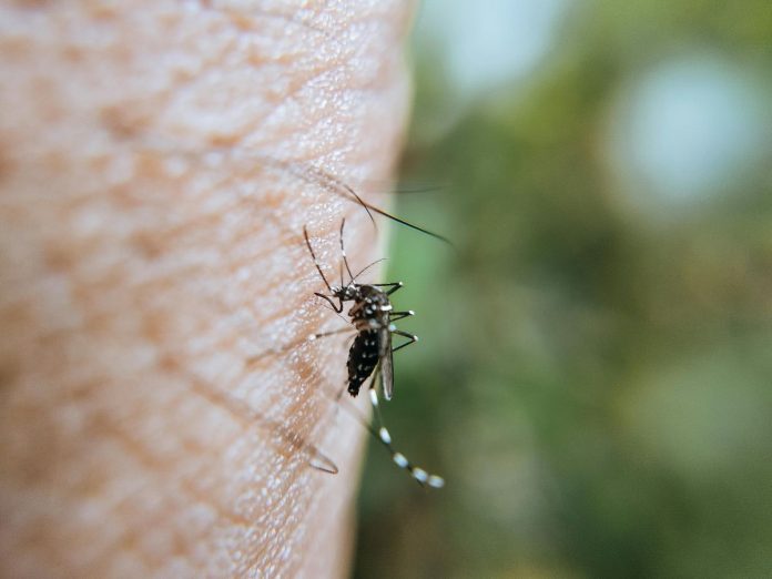 El dengue sigue en incremento en Jalisco, los casos crecieron 123 en una semana, alcanzando un total de 506.