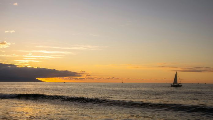 Las playas del Sheraton y de Nuevo Nayarit destacan de entre toda la República Mexicana por su limpieza, según Cofepris