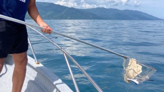 Puerto Vallarta acoge el primer Torneo Internacional de Pesca de Basura para limpiar el mar y crear conciencia