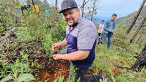 Plantarán 60 Mil pinos en Talpa de Allende. Reforestación tras incendios devastadores con la meta de 60 mil pinos plantados