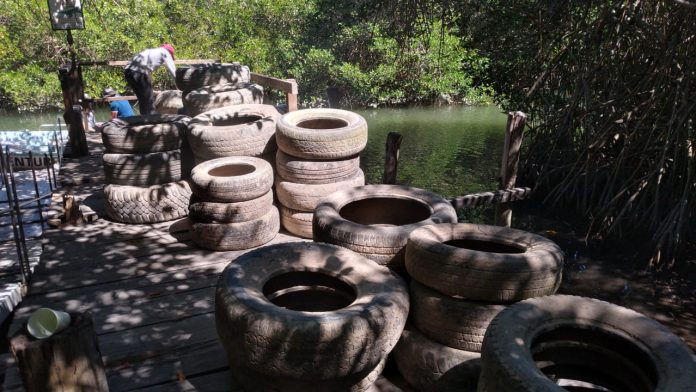 Más de cinco mil llantas recolectadas en el programa Patio Limpio un plan para reducir criaderos de mosquitos en llantas