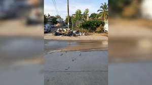 Crisis de recolección de basura en Vallarta se agrava en fin de semana largo; alcalde señala falta de camiones recolectores