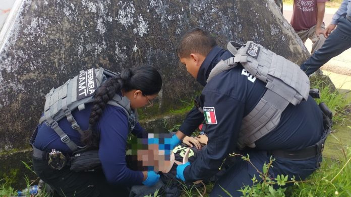 Policía Estatal y su Unidad Médica Táctica auxilió a un joven lesionado tras caer de un puente en Tepic, Nayarit