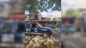 SSPC y Policía Canina rescataron dos perros maltratados en Tepic, Nayarit tras denuncia ciudadana en redes