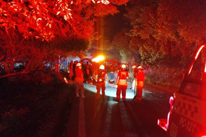 Accidente en carretera federal 200 causa cierre temporal y deja dos lesionados